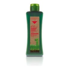 Biokera Shampooing spécifique cheveux gras 300ml parapharmacie marrakech en ligne Cheveux